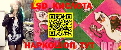 индика Славгород